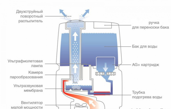 Что выбрать: ультразвуковой или паровой увлажнитель воздуха