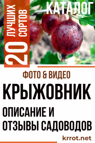 Крыжовник: описание 20 лучших сортов с фото и отзывами садоводов о них