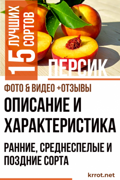 Персик: описание и характеристика 15 лучших сортов. Ранние, среднеспелые и поздние сорта (Фото & Видео) +Отзывы