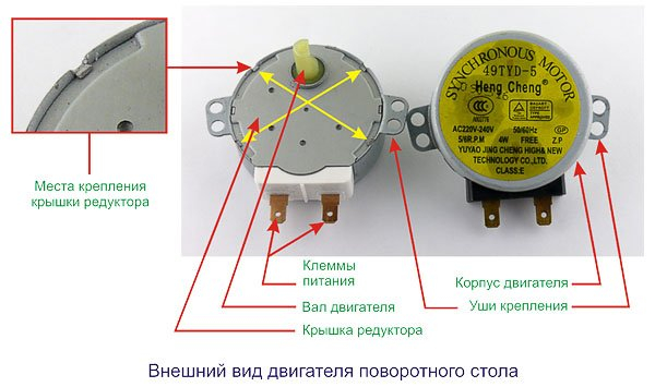 Микроволновка работает, но не вращается тарелка: в чём причина и как её устранить?