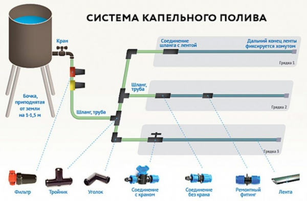 Устройство капельного полива в теплице своими руками: из бочки, пластиковой бутылки и даже автоматической системы. Для томатов и других культур (Фото & Видео)+Отзывы