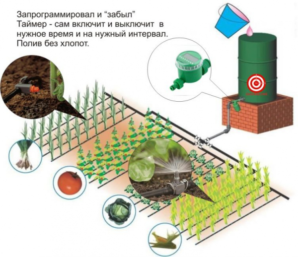 Капельный полив: пошаговый монтаж системы своими руками из готовых материалов, пластиковых бутылок (Фото & Видео)