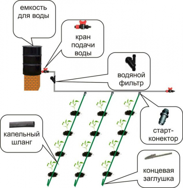 Капельный полив: пошаговый монтаж системы своими руками из готовых материалов, пластиковых бутылок (Фото & Видео)