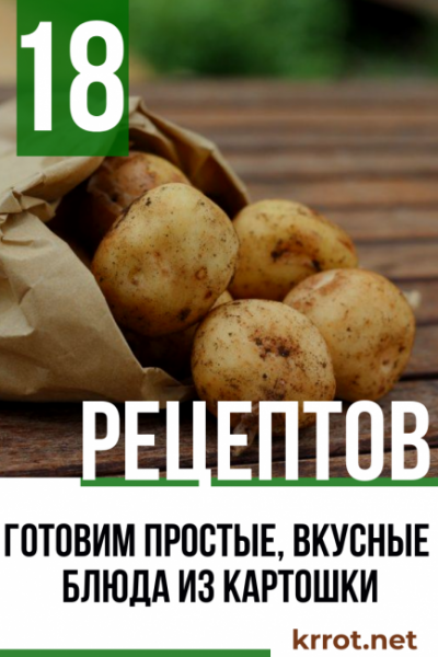 Готовим простые, вкусные блюда из картошки: 18 рецептов с фото и описанием