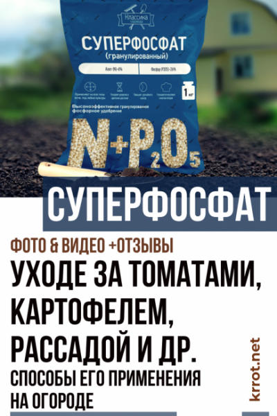 Значение суперфосфата как минерального удобрения в уходе за томатами, картофелем, рассадой и др. культурами. Способы его применения на огороде (Фото & Видео) +Отзывы