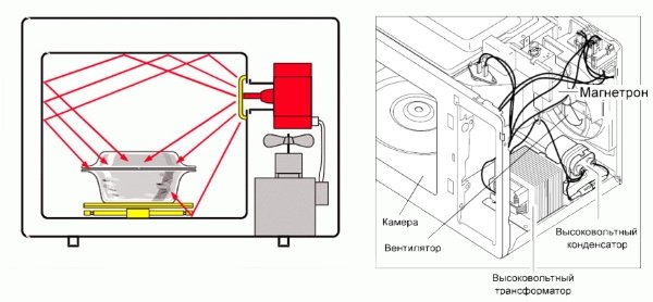 Как работает микроволновка и как правильно с ней обращаться?