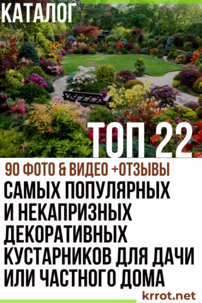 ТОП-22 Самых популярных и некапризных декоративных кустарников для дачи или частного дома (90 Фото & Видео) +Отзывы