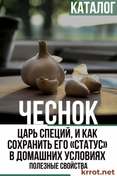 Чеснок — Царь специй, и как сохранить его «статус»  в домашних условиях, полезные свойства (Фото & Видео) +Отзывы